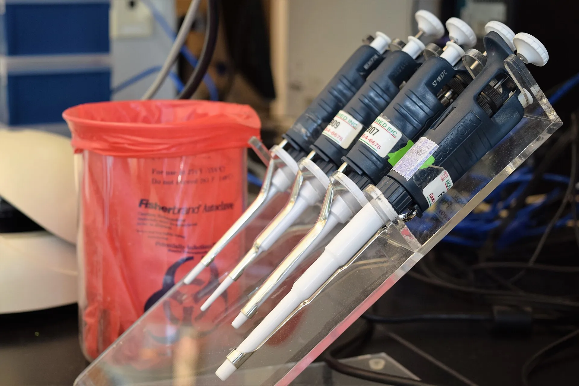 Pipettes in a laboratory rack